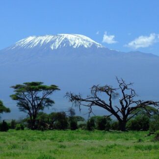 Safari to the Masai Mara Reserve